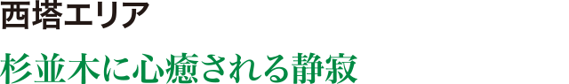 西塔エリア 杉並木に心癒される静寂 にない堂