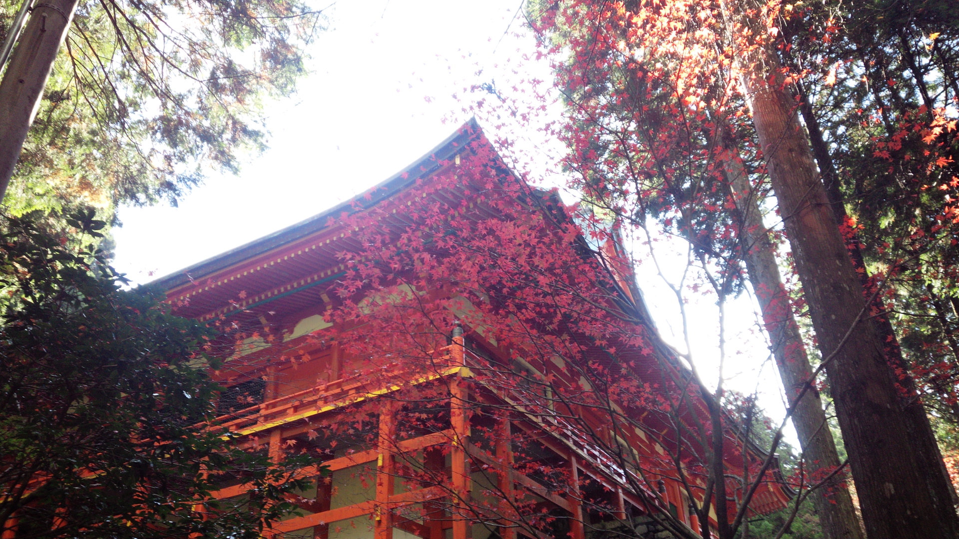 癒しの世界「日本天台三総本山」を巡る旅