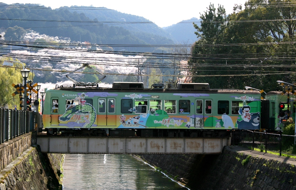 癒しの世界「日本天台三総本山」を巡る旅