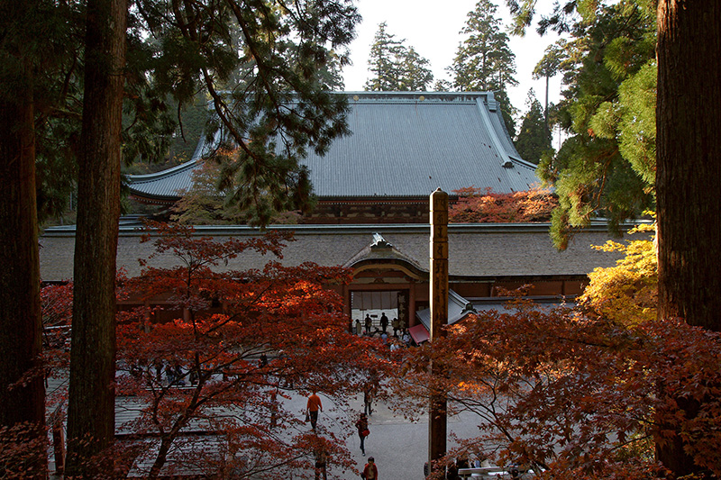 秋の彩り　紅葉を巡るもみじプラン