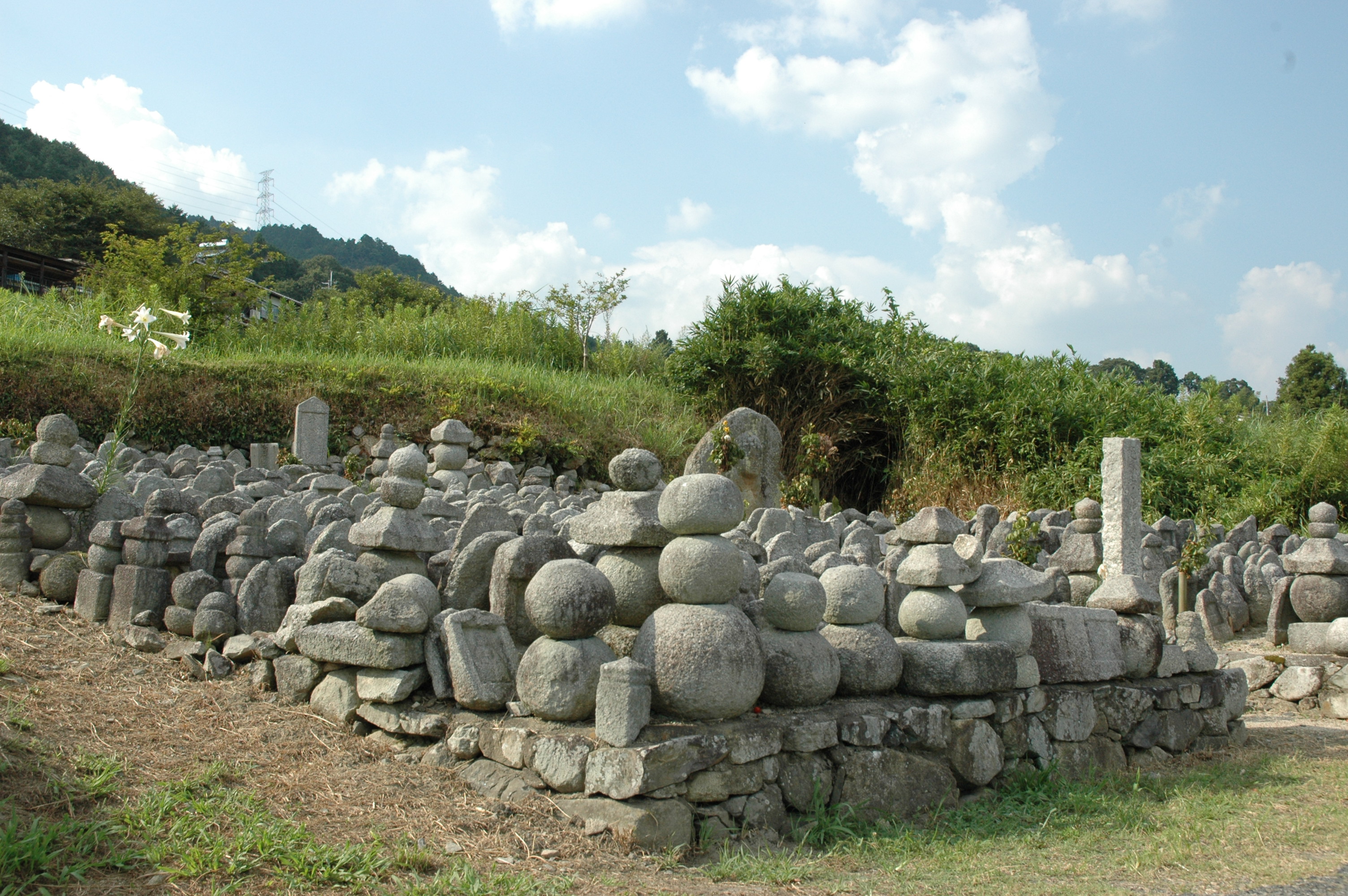 明智光秀公ゆかりの地を巡る戦国史跡プラン