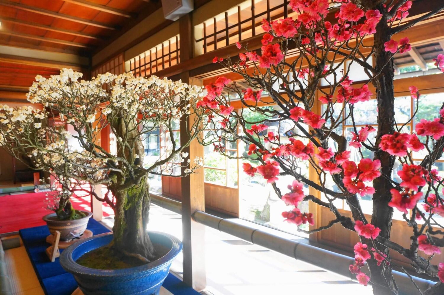 【冬限定】2月1日（日）～2月28日(土）雪見船クルーズ