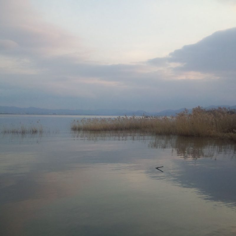 おごと温泉観光協会