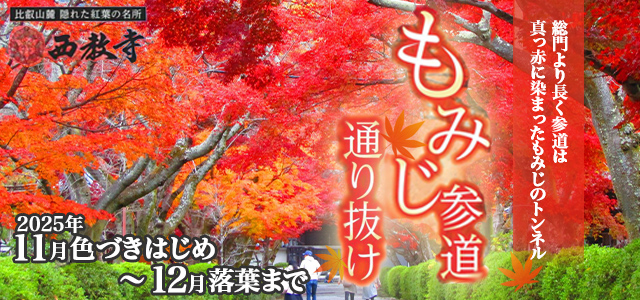 もみじ参道通り抜け