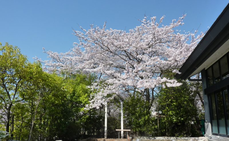 おごと温泉観光協会